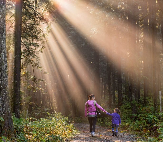 Woman and child walking hand in hand on a forest path, with sunlight streaming through trees, symbolizing family bonding and outdoor exploration.